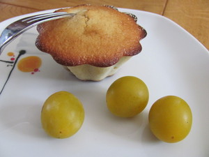 clafoutis aux mirabelles